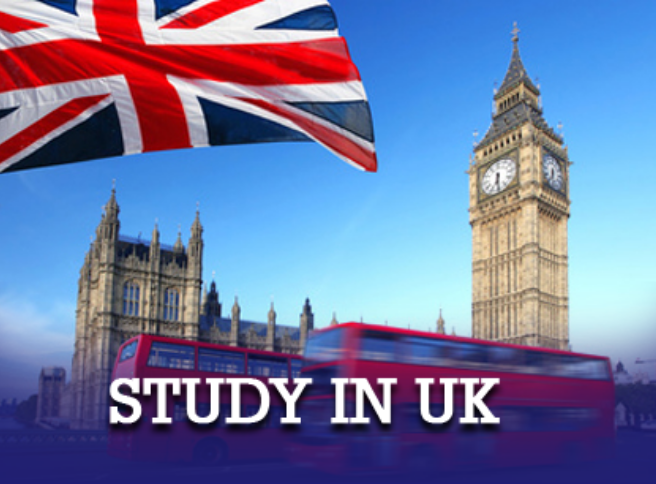 Best immigration company in jalandhar